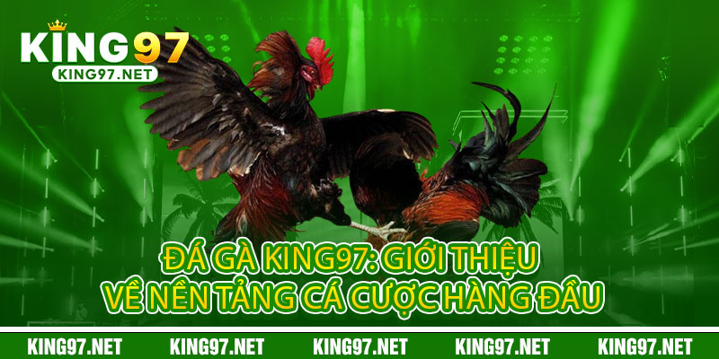 Đá Gà King97 - Đấu Trường Máu Lửa, Thắng Đậm Đổi Đời 1 Đá Gà King97: Giới thiệu về nền tảng cá cược hàng đầu