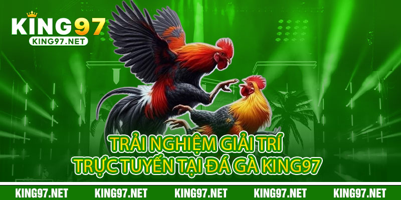 Đá Gà King97 - Đấu Trường Máu Lửa, Thắng Đậm Đổi Đời 2 Trải nghiệm giải trí trực tuyến tại Đá Gà King97